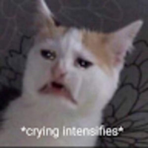 Meet your Posher, Nichole